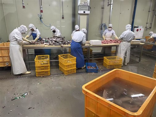 你知道袋裝即食魚應該如何殺菌效果更好嗎？